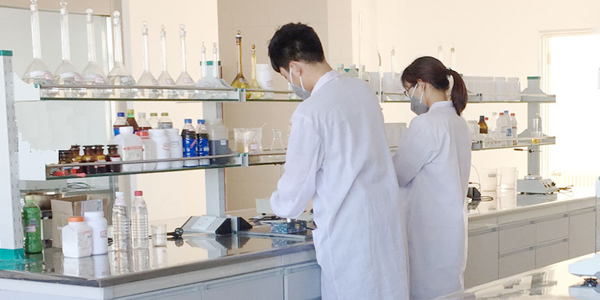 拥有专业的技术研发团队